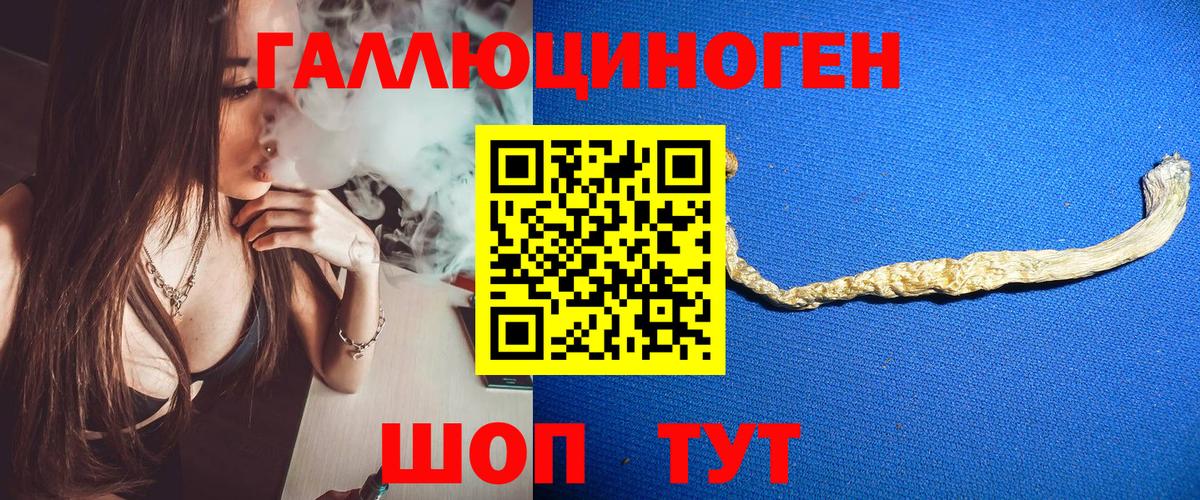 Прохладный  Галлюциногенные грибы мицелий  Вход с VPN 